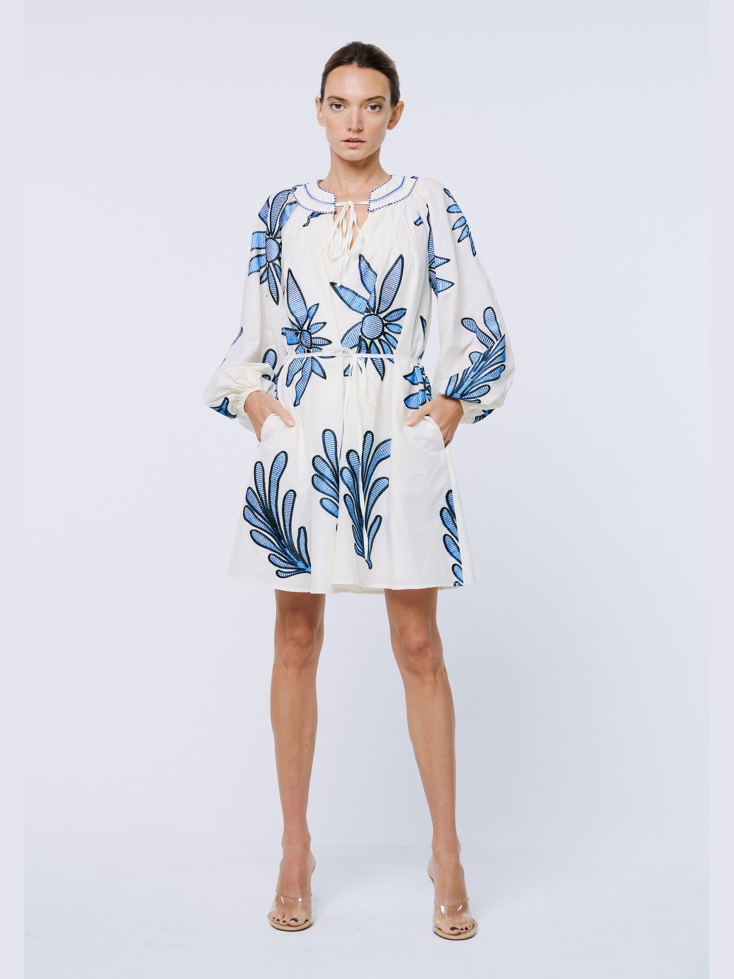 Viena Embroidered Long Sleeve Mini Dress