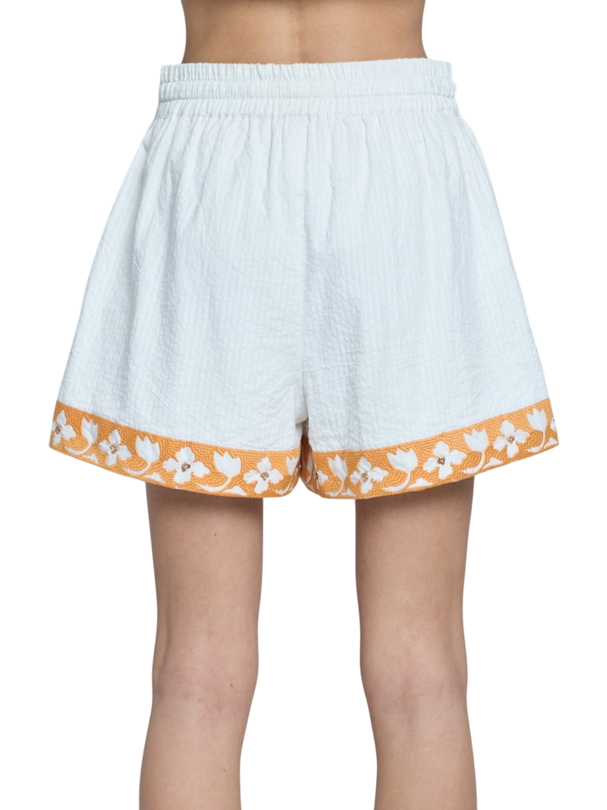 Briysa Embroidered Drawstring Shorts