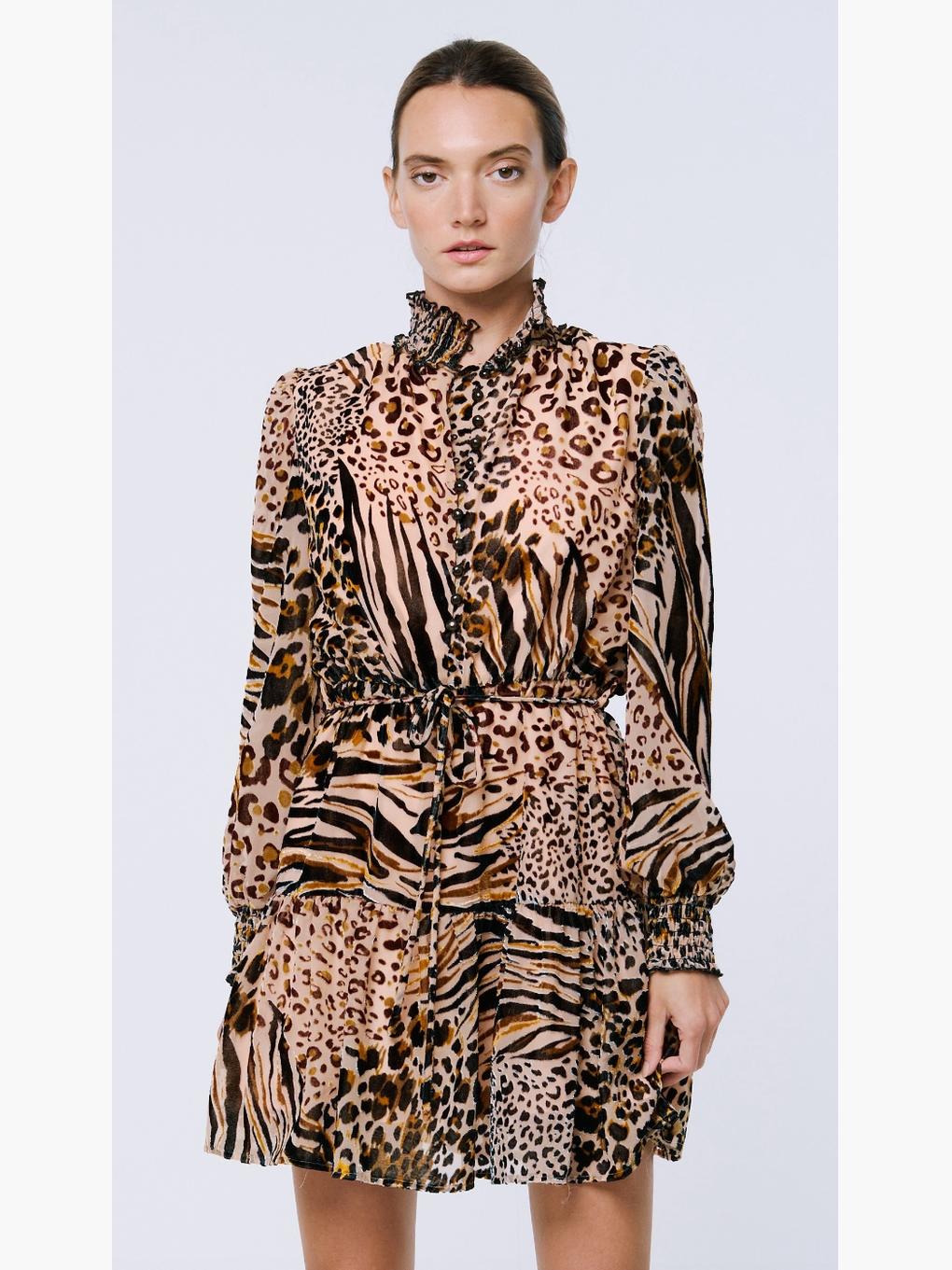 Gemma Animal Print Velvet Mini Dress