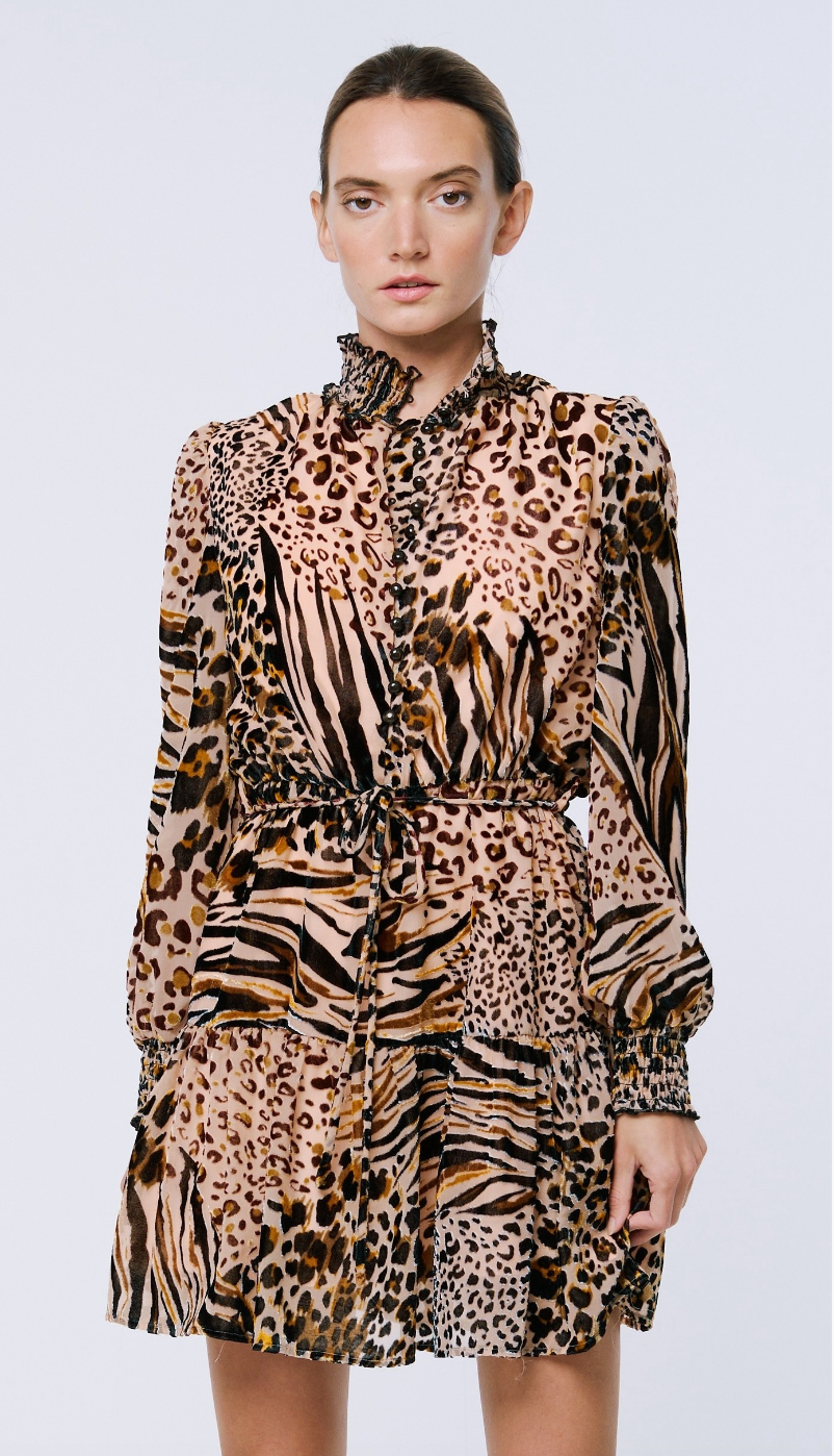 Gemma Animal Print Velvet Mini Dress