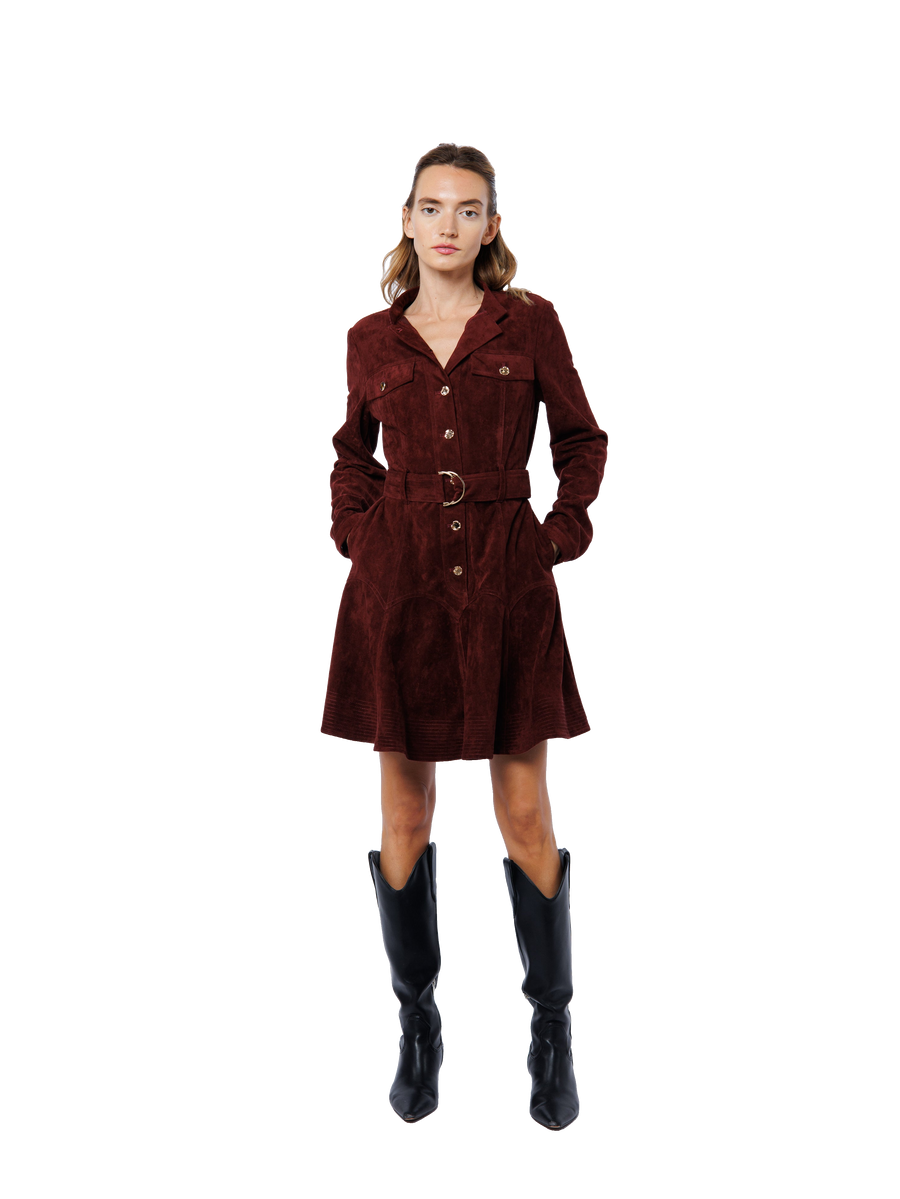 Laurie Faux Suede Long Sleeve Mini Dress