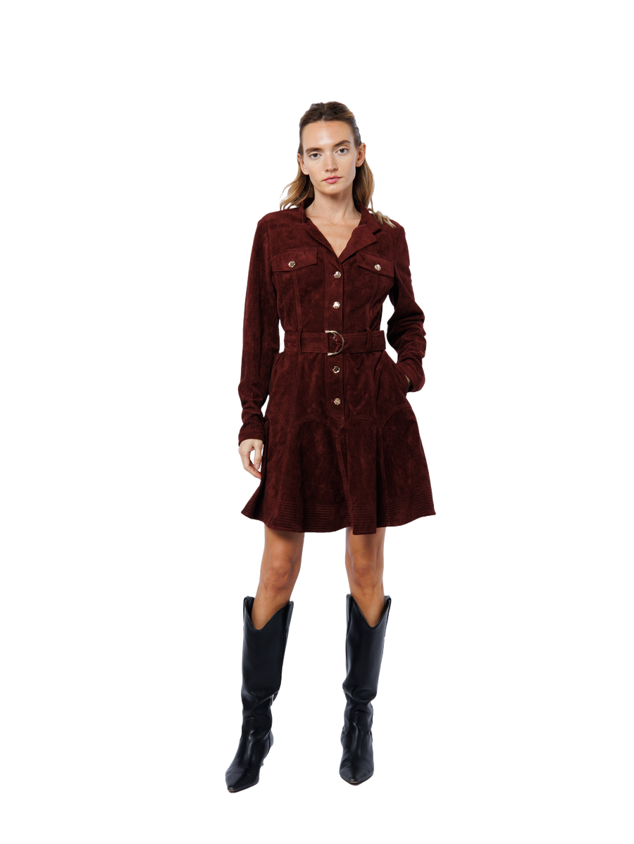 Laurie Faux Suede Long Sleeve Mini Dress