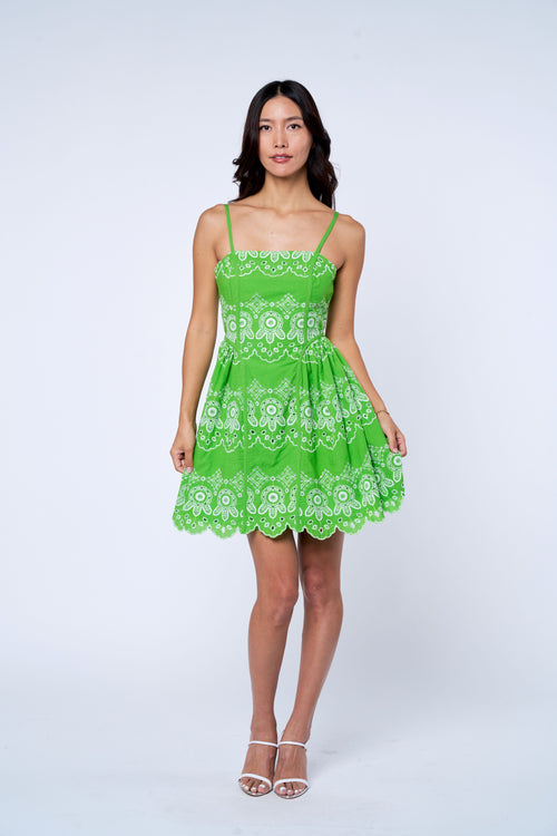 Cargar la imagen 1 en la vista de la galería. Evelyn Eyelet Lace Cotton Mini Dress
