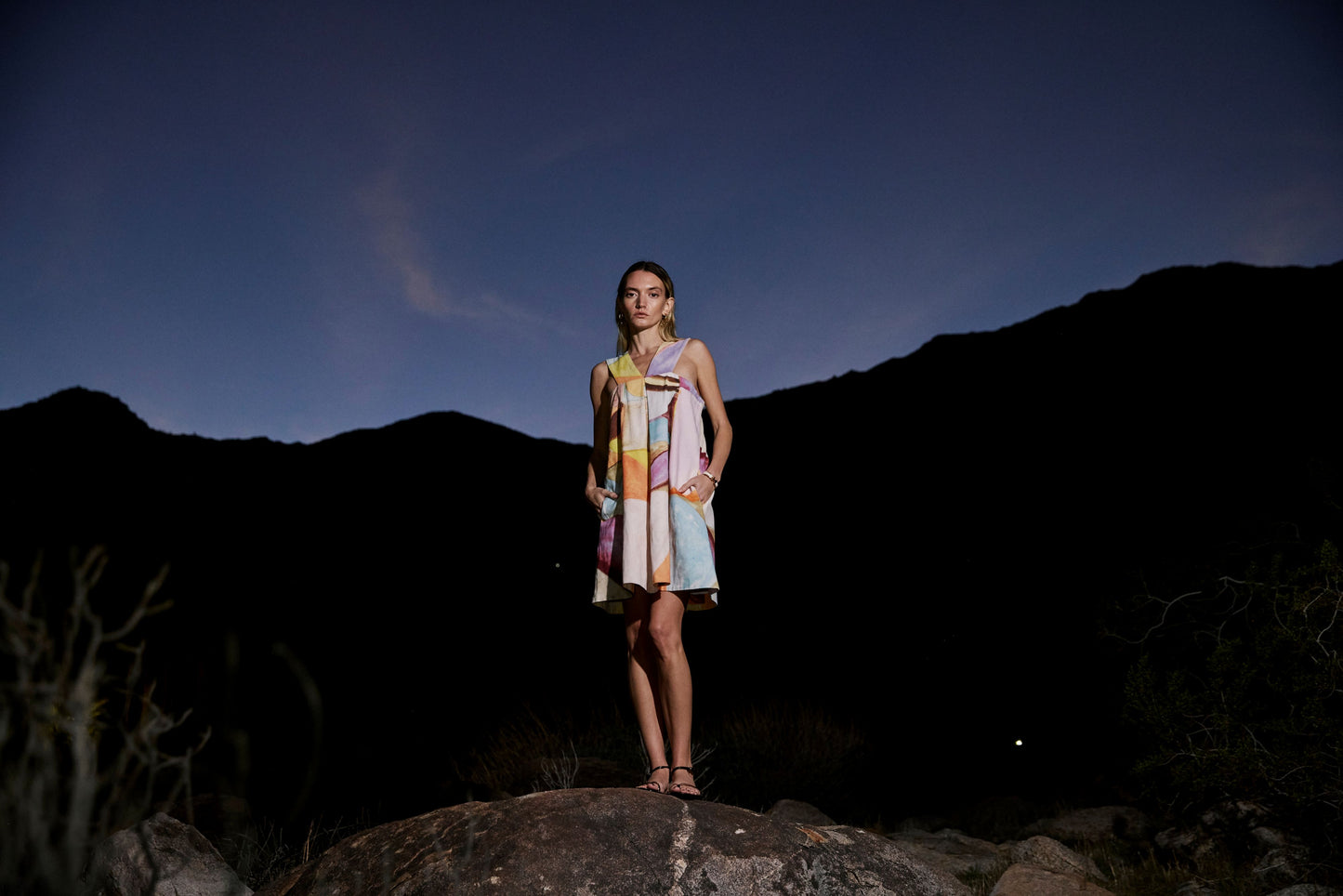 Arya Abstract Print Cotton Sleeveless Mini Dress