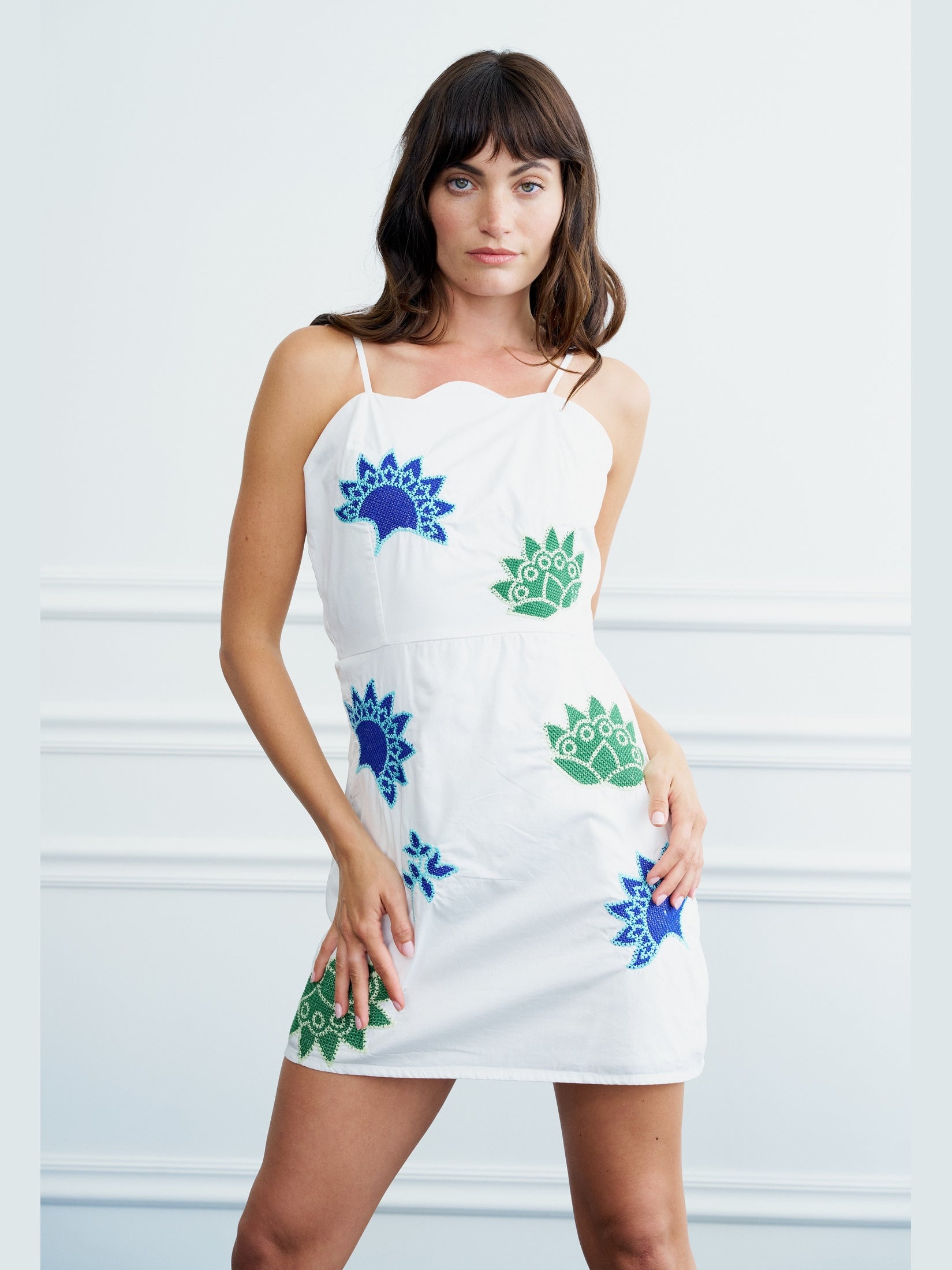 Zayla Embroidered Cotton Mini Dress
