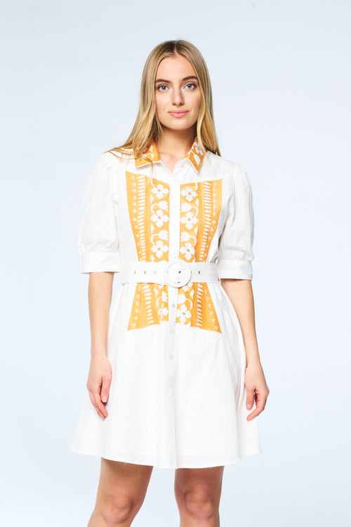 Load image 1 in gallery view. Ameera Embroidered Mini Shirt Dress