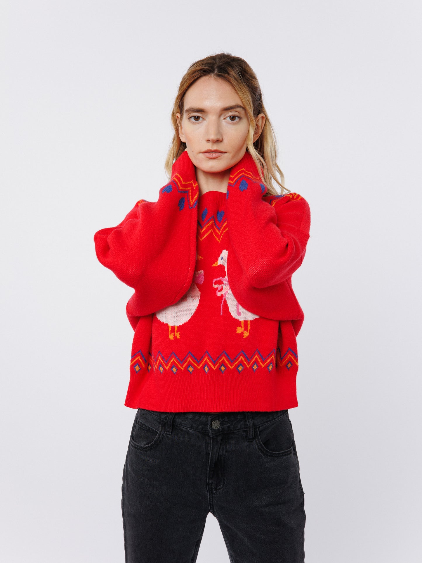 Neve Silly Goose Long Sleeve Sweater