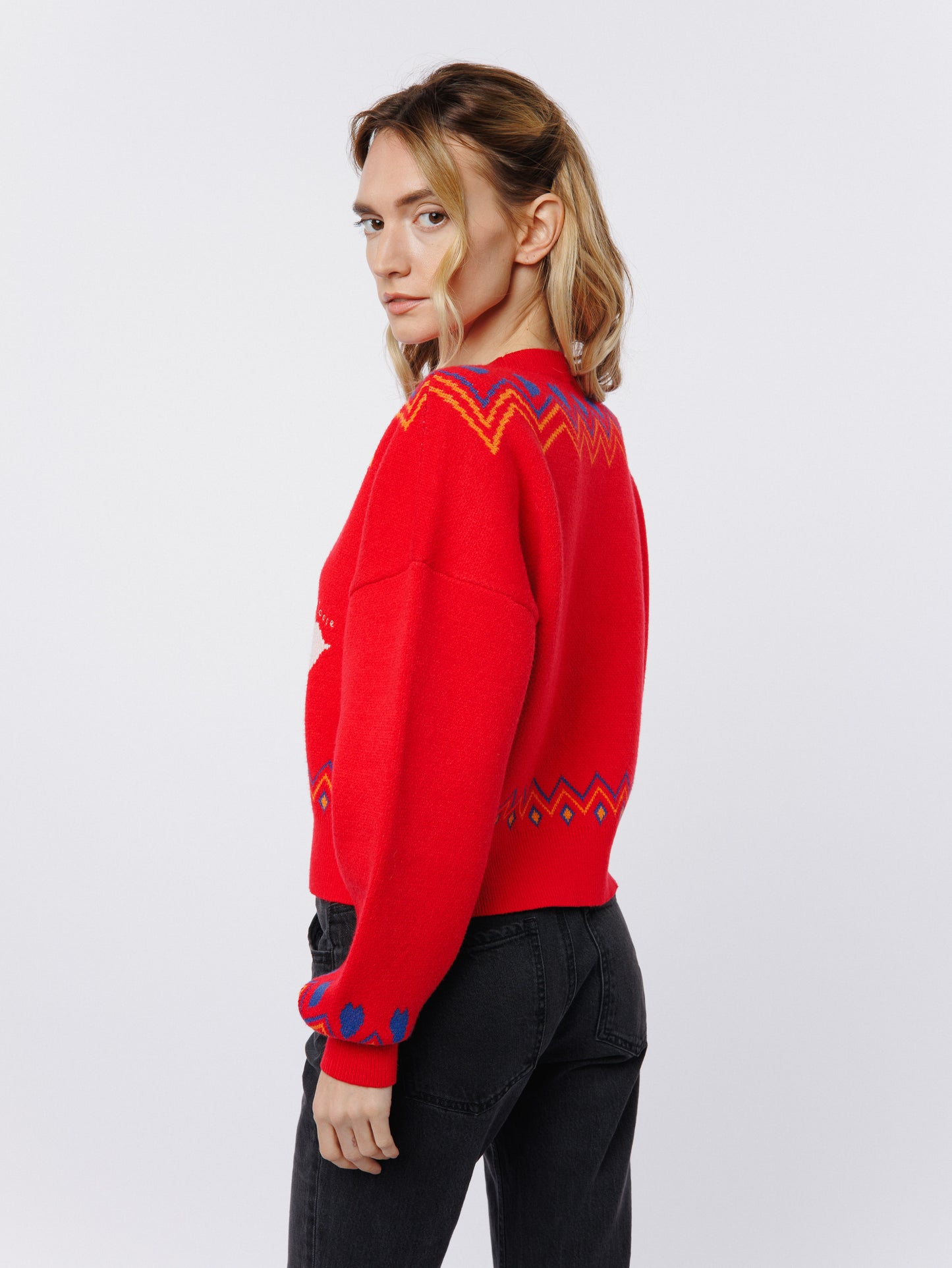 Neve Silly Goose Long Sleeve Sweater